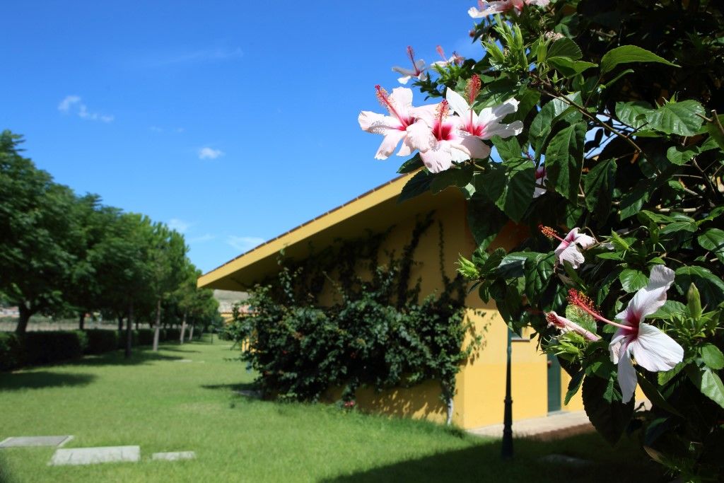 Marina Del Marchese Beach Resort Botricello Exterior photo